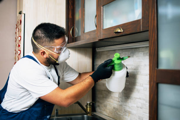Best Wildlife Control Services  in Gouldtown, NJ