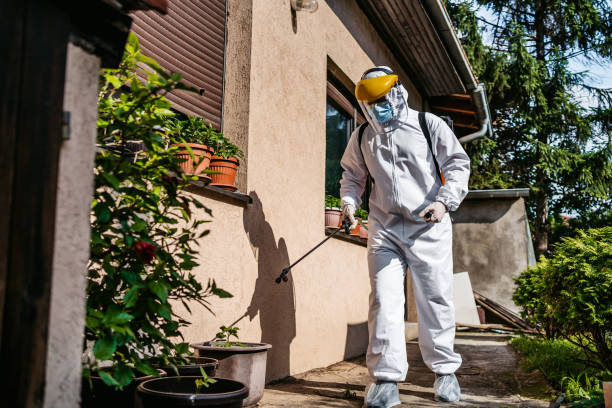 Best Insect Control  in Gouldtown, NJ