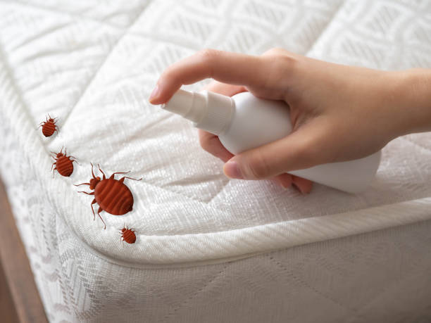 Best Mosquito Control Services  in Gouldtown, NJ
