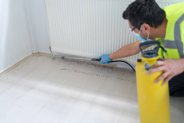 Best Wasp Removal Services  in Gouldtown, NJ